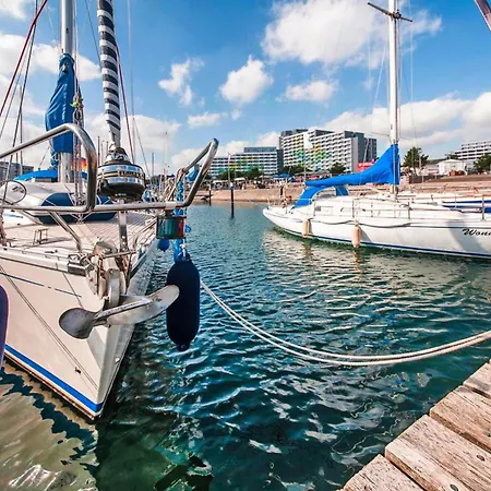 Log In The Baltic Sea Of Dampland